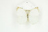  ( - BC-TB8928)  @11 [ ] Copyright (2012) Thierry Bouyer Research Collection of Thierry Bouyer