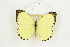  ( - BC-TB8939)  @13 [ ] Copyright (2012) Thierry Bouyer Research Collection of Thierry Bouyer