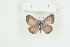  ( - BC-TB8963)  @13 [ ] Copyright (2012) Thierry Bouyer Research Collection of Thierry Bouyer