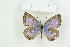  ( - BC-TB8965)  @13 [ ] Copyright (2012) Thierry Bouyer Research Collection of Thierry Bouyer
