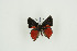  ( - BC-TB8984)  @13 [ ] Copyright (2011) Thierry Bouyer Research Collection of Thierry Bouyer