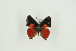  ( - BC-TB8985)  @13 [ ] Copyright (2011) Thierry Bouyer Research Collection of Thierry Bouyer