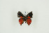  ( - BC-TB8987)  @13 [ ] Copyright (2011) Thierry Bouyer Research Collection of Thierry Bouyer
