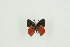  ( - BC-TB8988)  @13 [ ] Copyright (2011) Thierry Bouyer Research Collection of Thierry Bouyer
