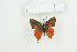  ( - BC-TB9037)  @13 [ ] Copyright (2012) Thierry Bouyer Research Collection of Thierry Bouyer