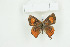  ( - BC-TB9038)  @13 [ ] Copyright (2012) Thierry Bouyer Research Collection of Thierry Bouyer