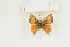  ( - BC-TB9042)  @12 [ ] Copyright (2012) Thierry Bouyer Research Collection of Thierry Bouyer