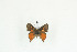  ( - BC-TB9139)  @12 [ ] Copyright (2012) Thierry Bouyer Research Collection of Thierry Bouyer