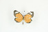  ( - BC-TB9184)  @12 [ ] Copyright (2012) Thierry Bouyer Research Collection of Thierry Bouyer