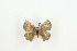  ( - BC-TB9219)  @12 [ ] Copyright (2012) Thierry Bouyer Research Collection of Thierry Bouyer