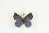  ( - BC-TB9220)  @12 [ ] Copyright (2012) Thierry Bouyer Research Collection of Thierry Bouyer