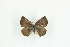  ( - BC-TB9236)  @12 [ ] Copyright (2012) Thierry Bouyer Research Collection of Thierry Bouyer
