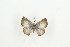  ( - BC-TB9237)  @13 [ ] Copyright (2012) Thierry Bouyer Research Collection of Thierry Bouyer
