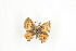  ( - BC-TB9296)  @13 [ ] Copyright (2012) Thierry Bouyer Research Collection of Thierry Bouyer