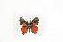  ( - BC-TB9299)  @13 [ ] Copyright (2012) Thierry Bouyer Research Collection of Thierry Bouyer