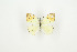  (Colotis evarne - BC-TB9363)  @14 [ ] Copyright (2012) Thierry Bouyer Research Collection of Thierry Bouyer