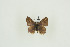  ( - BC-TB9534)  @12 [ ] Copyright (2012) Thierry Bouyer Research Collection of Thierry Bouyer