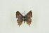  ( - BC-TB9538)  @13 [ ] Copyright (2012) Thierry Bouyer Research Collection of Thierry Bouyer