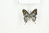  ( - BC-TB8094)  @13 [ ] Copyright (2011) Thierry Bouyer Research Collection of Thierry Bouyer