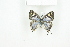  ( - BC-TB8096)  @13 [ ] Copyright (2011) Thierry Bouyer Research Collection of Thierry Bouyer