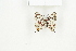  ( - BC-TB8097)  @13 [ ] Copyright (2011) Thierry Bouyer Research Collection of Thierry Bouyer