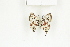  ( - BC-TB8098)  @13 [ ] Copyright (2011) Thierry Bouyer Research Collection of Thierry Bouyer