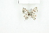  ( - BC-TB8099)  @13 [ ] Copyright (2011) Thierry Bouyer Research Collection of Thierry Bouyer