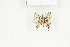  ( - BC-TB8100)  @13 [ ] Copyright (2011) Thierry Bouyer Research Collection of Thierry Bouyer