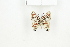  ( - BC-TB8101)  @13 [ ] Copyright (2011) Thierry Bouyer Research Collection of Thierry Bouyer