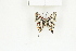  ( - BC-TB8102)  @13 [ ] Copyright (2011) Thierry Bouyer Research Collection of Thierry Bouyer