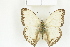  ( - BC-TB8111)  @12 [ ] Copyright (2011) Thierry Bouyer Research Collection of Thierry Bouyer