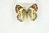  ( - BC-TB8158)  @13 [ ] Copyright (2011) Thierry Bouyer Research Collection of Thierry Bouyer