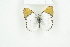  ( - BC-TB8160)  @13 [ ] Copyright (2011) Thierry Bouyer Research Collection of Thierry Bouyer