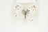  ( - BC-TB8163)  @13 [ ] Copyright (2011) Thierry Bouyer Research Collection of Thierry Bouyer
