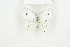  ( - BC-TB8179)  @12 [ ] Copyright (2011) Thierry Bouyer Research Collection of Thierry Bouyer