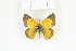  ( - BC-TB8378)  @14 [ ] Copyright (2011) Thierry Bouyer Research Collection of Thierry Bouyer