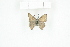  ( - BC-TB8384)  @12 [ ] Copyright (2011) Thierry Bouyer Research Collection of Thierry Bouyer