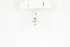  ( - BC-TB8393)  @12 [ ] Copyright (2011) Thierry Bouyer Research Collection of Thierry Bouyer