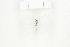  ( - BC-TB8394)  @12 [ ] Copyright (2011) Thierry Bouyer Research Collection of Thierry Bouyer