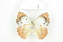  ( - BC-TB8431)  @14 [ ] Copyright (2011) Thierry Bouyer Research Collection of Thierry Bouyer
