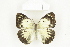  ( - BC-TB8432)  @14 [ ] Copyright (2011) Thierry Bouyer Research Collection of Thierry Bouyer