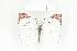  ( - BC-TB8443)  @14 [ ] Copyright (2011) Thierry Bouyer Research Collection of Thierry Bouyer