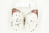  ( - BC-TB8446)  @14 [ ] Copyright (2011) Thierry Bouyer Research Collection of Thierry Bouyer