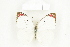  ( - BC-TB8469)  @11 [ ] Copyright (2011) Thierry Bouyer Research Collection of Thierry Bouyer