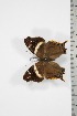  ( - BC-TB3769)  @12 [ ] Copyright (2010) Unspecified Research Collection of Thierry Bouyer
