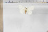  ( - BC-TB5836)  @12 [ ] Copyright (2010) Thierry Bouyer Unspecified