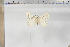  ( - BC-TB5852)  @12 [ ] Copyright (2010) Thierry Bouyer Unspecified