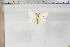  ( - BC-TB5855)  @12 [ ] Copyright (2010) Thierry Bouyer Unspecified
