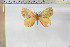 ( - BC-TB5861)  @13 [ ] Copyright (2010) Thierry Bouyer Unspecified