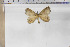  ( - BC-TB5871)  @13 [ ] Copyright (2010) Thierry Bouyer Unspecified